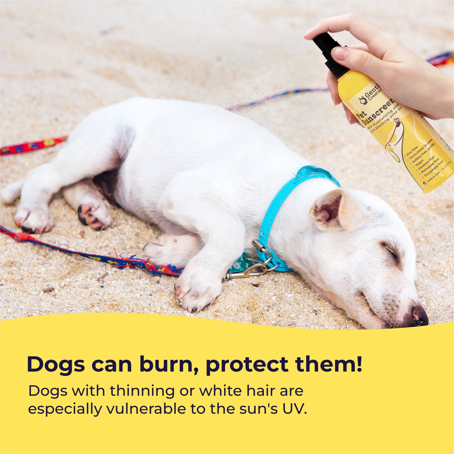Pet Sunscreen with Moisturizing Vitamin E and Olive Oil