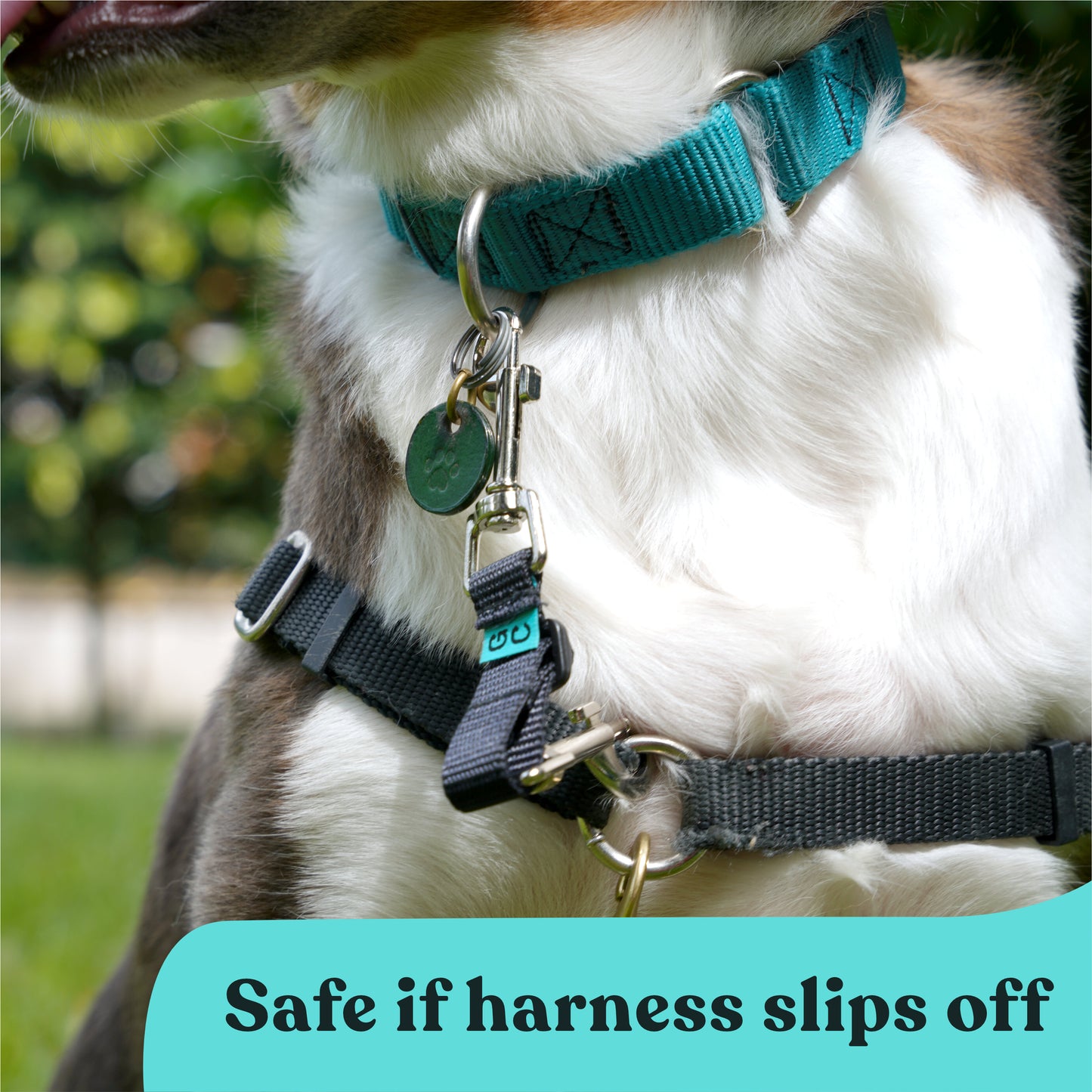 Collar Companion - Nylon Adjustable Backup Clip