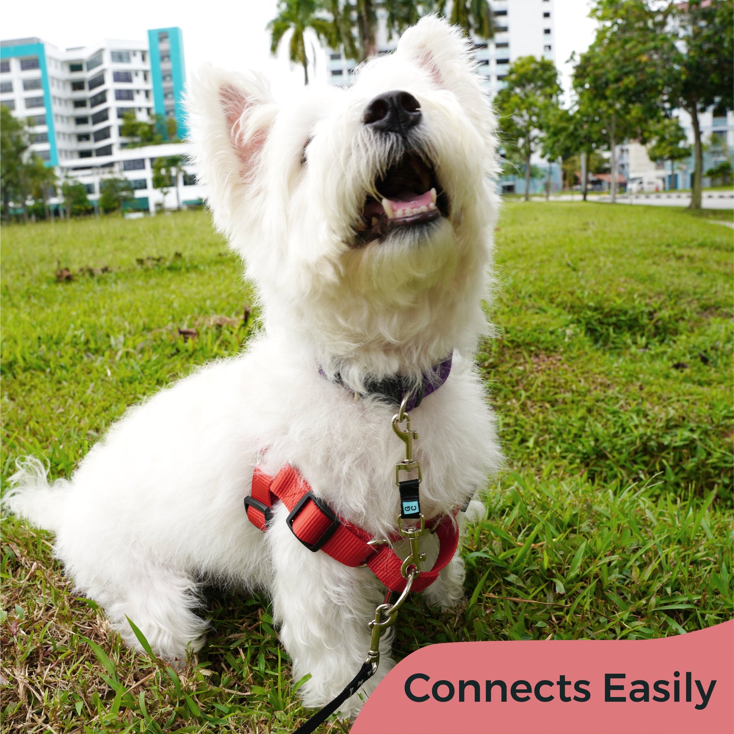Connects easily