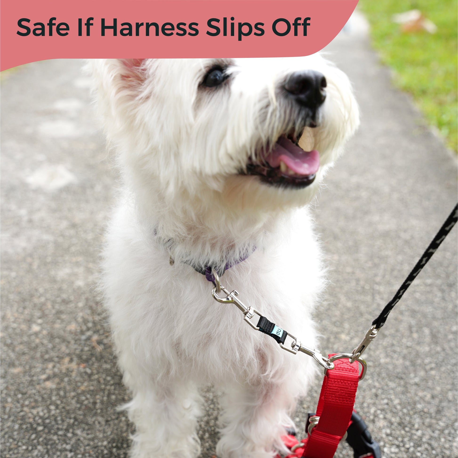 Safe if harness slips off