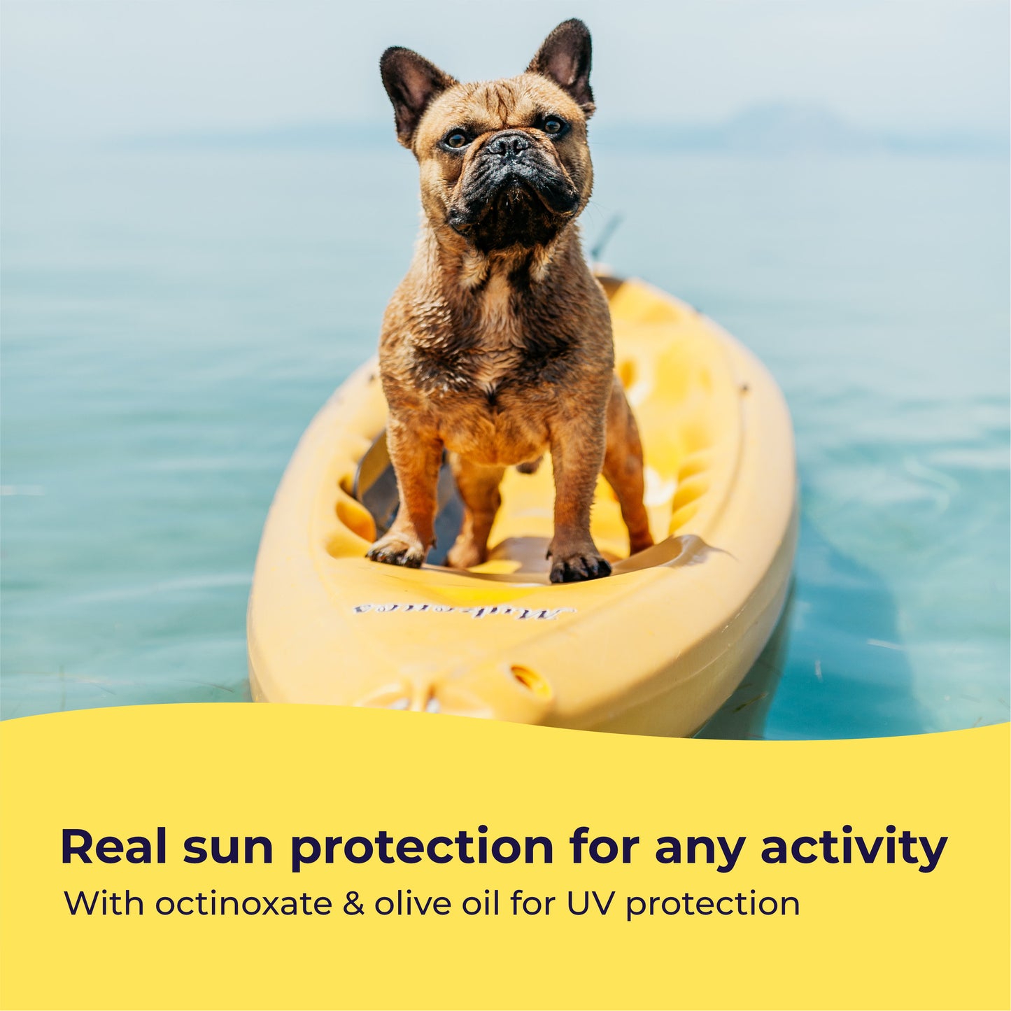 Pet Sunscreen with Moisturizing Vitamin E and Olive Oil