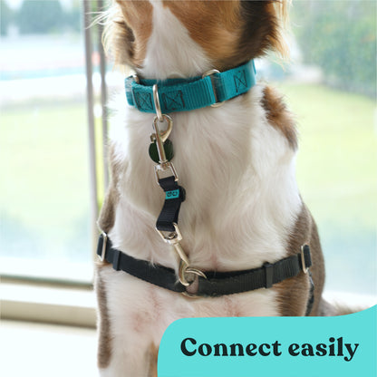 Collar Companion - Nylon Adjustable Backup Clip