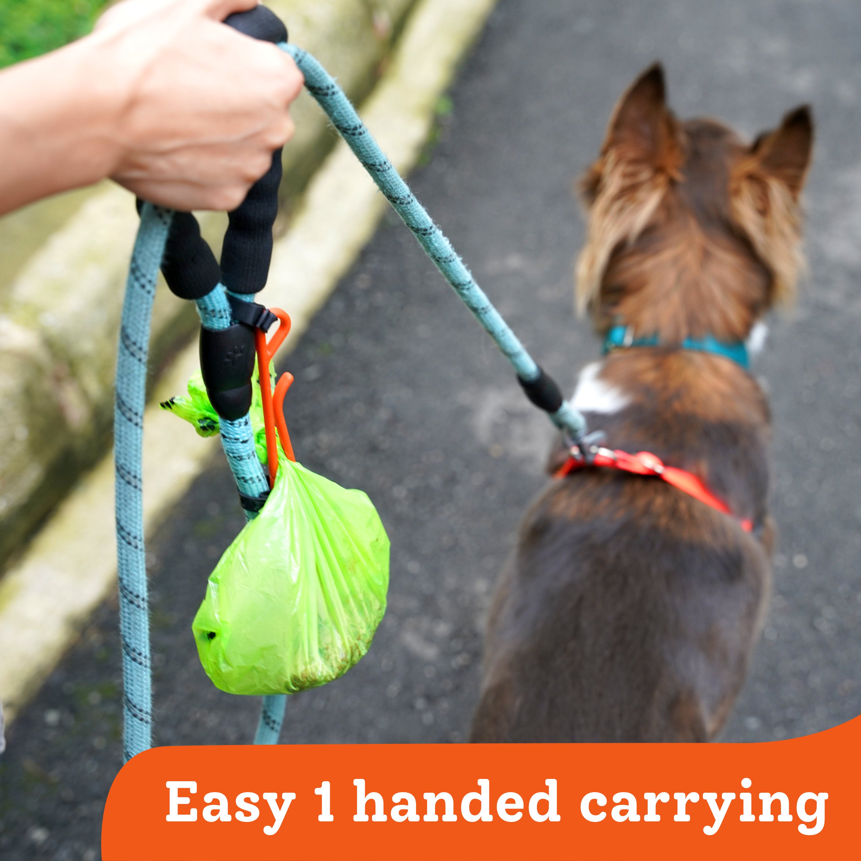 Carrying dog poop sales on a walk