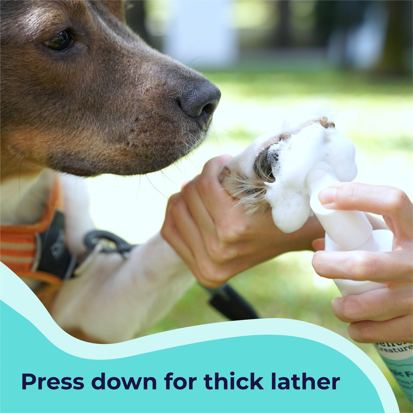 Press down for thick lather
