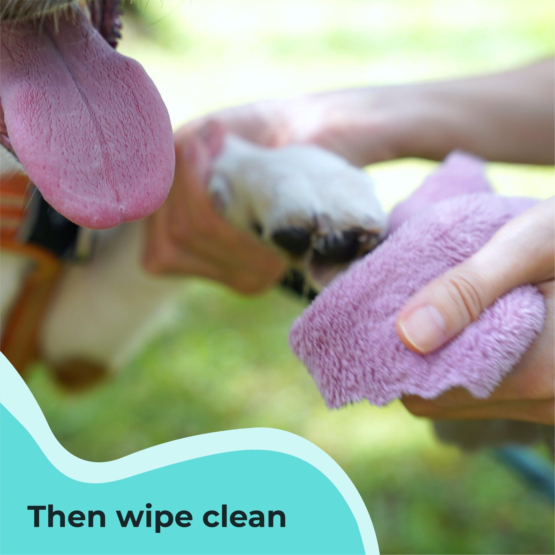 Then wipe clean