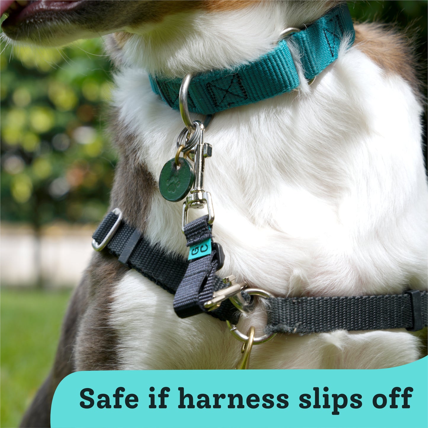 Safe if harness slips off